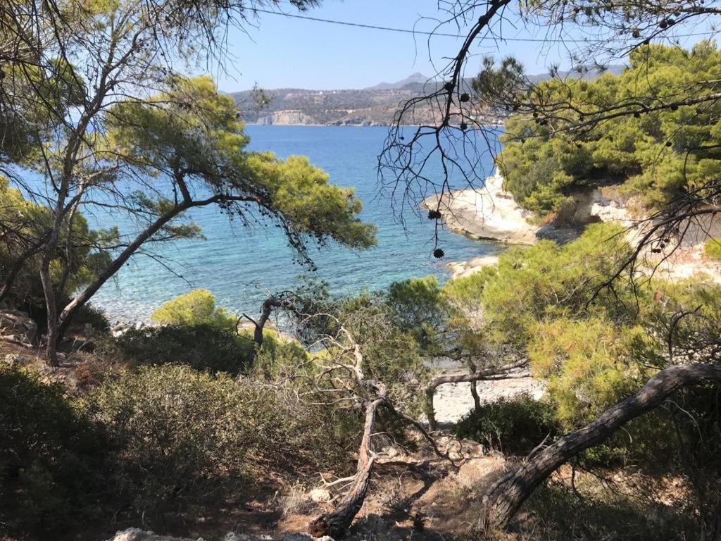 Agia Marina  Vana Kavos 아파트 외부 사진
