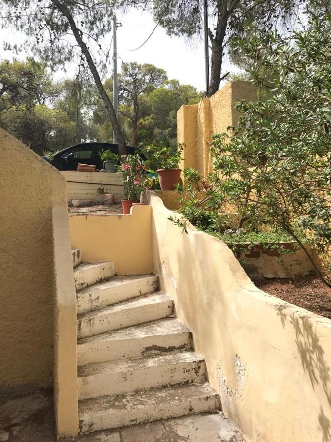 Agia Marina  Vana Kavos 아파트 외부 사진
