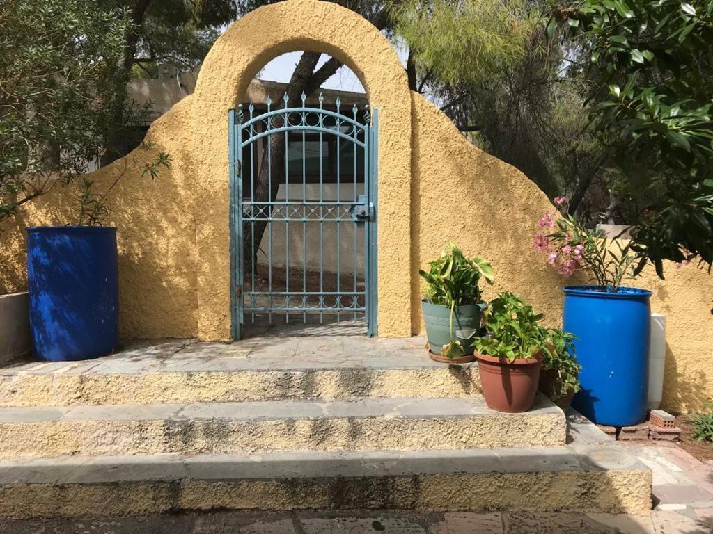 Agia Marina  Vana Kavos 아파트 외부 사진